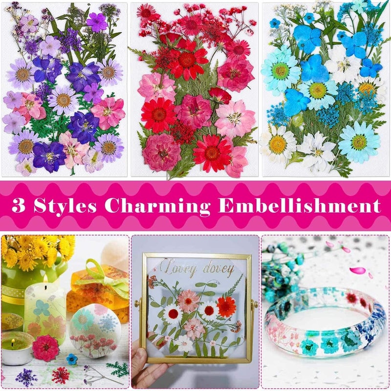 Thrilez 100Pcs Dried Pressed Flowers for Resin Crafts, Small Dried Flower Natural Herbs Pressed for Scrapbooking Greeting Card DIY Bookmark Resin Epoxy Accessories Nails Decor Soap and Candle Making - Image 5